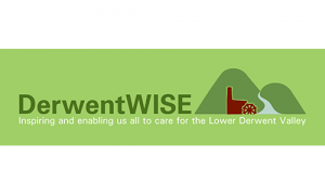Derwentwise logo 