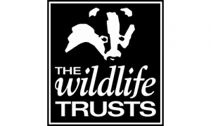 Wildlife trusts Logo 